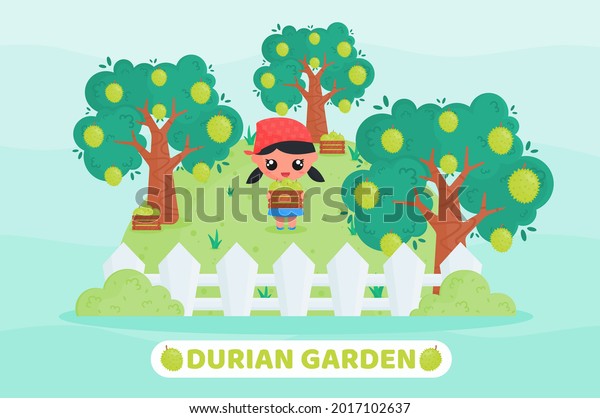 Kawaii Cartoon illustration of cute little girl\
in farmer uniform harvesting durian in the durian garden with\
holding box full of fruits. Suitable for children content\
illustration and farming\
product