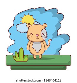 kawaii cat nice wild animal