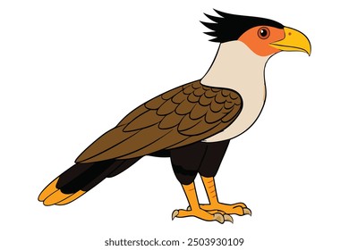 Kawaii Crested Caracara Bird Vector Illustration Clipart