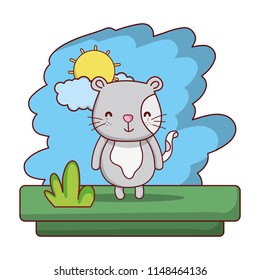 kawaii cute cat wild animal