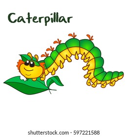 Kawaii cute green caterpillar eats leaves. Vector funny character in cartoon style. Flashcard for children with the name of the character. Isolated. Insect.