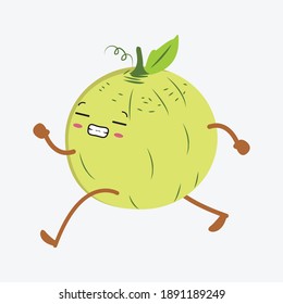 kawaii lindo melón con un ícono plano
