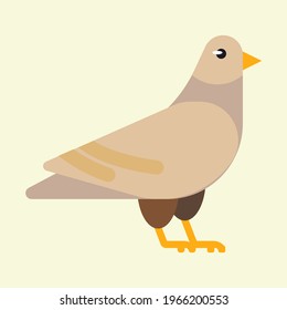 Kawaii cute pigeon bird vector illustration flat design. Hand drawn colored bird vector. Animal for kids to learn. Pigeon bird.
