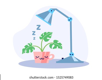 Kawaii cute potted sleeping plant under the lamp in the night in flat style. Can be used for greeting cards or posters or interior elements, stickers, hygge illustrations etc.