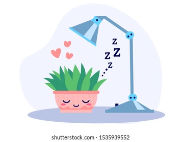 Kawaii cute potted sleeping plant under the lamp in the night in flat style. Can be used for greeting cards or posters or interior elements, stickers, hygge illustrations etc.