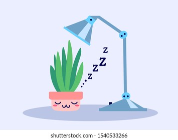 Kawaii cute potted sleeping plant under the lamp in the night in flat style. Can be used for greeting cards or posters or interior elements, stickers, hygge illustrations etc.