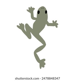 Kawaii frog character. Cute reptile animal. Vector element