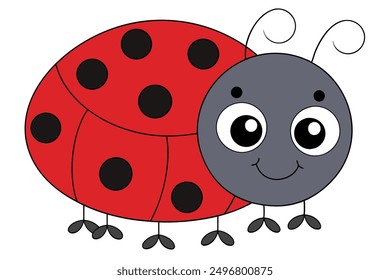 Kawaii Ladybug Cute Garden Insect