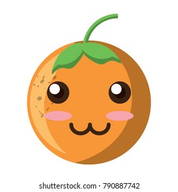 kawaii orange fruit icon