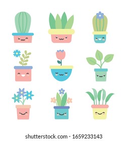 Kawaii plants inside pots flat style icon set design of Floral nature garden ornament botany decoration beauty and flora theme Vector illustration
