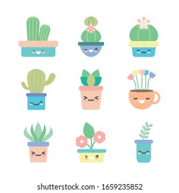 Plantas Kawaii dentro de macetas de estilo plano icono conjunto diseño de jardín floral ornamentación botánica belleza y flora tema Vector ilustración