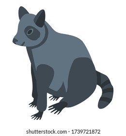 Kawaii raccoon icon. Isometric of kawaii raccoon vector icon for web design isolated on white background