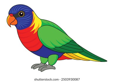 Kawaii Rainbow Lorikeet Vector Illustration Clipart