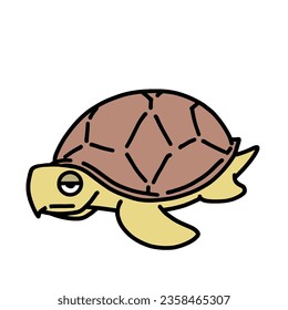 kawaii sea turtle transparent background illustration 