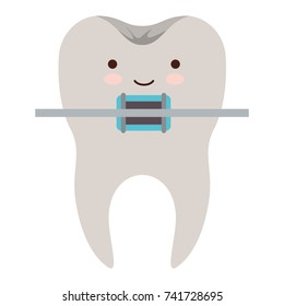 kawaii tooth with root and brace colorful silhouette vector illustration
