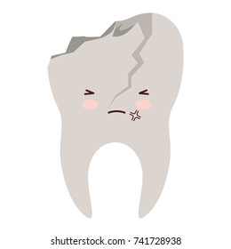 kawaii tooth with root and broken in colorful silhouette vector illustration