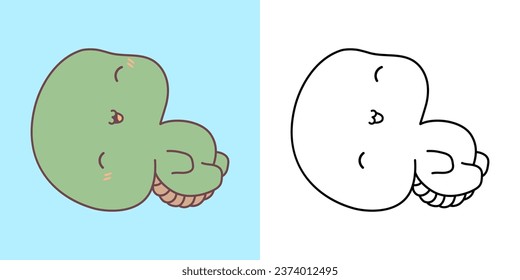 Kawaii Tortoise Multicolored and Black and White. Beautiful Isolated Animal. Funny Vector Illustration of a Kawaii Reptile for Prints for Clothes, Stickers, Baby Shower, Coloring Pages. 