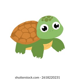 kawaii turtle cartoon character design