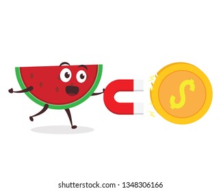 Kawaii vector illustration character cartoon cute watermelon mascot holding attracting coin gold and green money dollar with red large magnet in white background modern flat design brand
