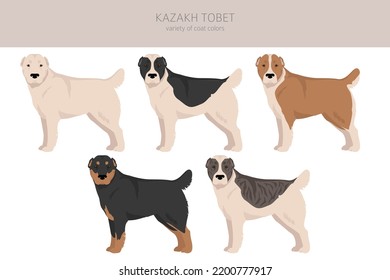 Kazakh Tobet clipart. Different coat colors set.  Vector illustration