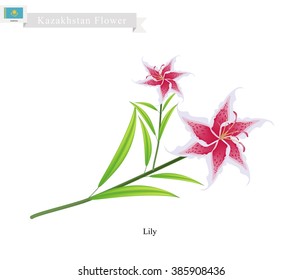 Kazakhstan Flower, Illustration of Lily Flowers or Lilium. One of The Most Popular Flower in Kazakhstan.