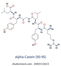 kazein veya casein molecule vector