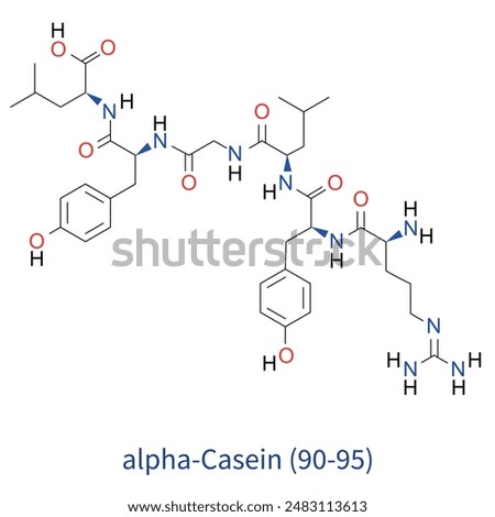 kazein veya casein molecule vector