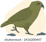 Kea Native Bird Aotearoa New Zealand Animal Flat Illustration