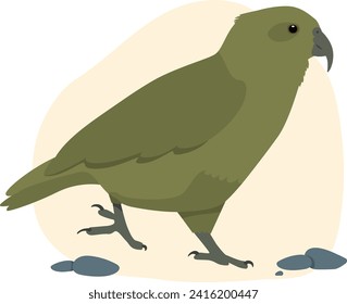 Kea Native Bird Aotearoa New Zealand Animal Flat Illustration