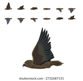Kea Parrot Flying Animation Sequência Cartoon Vetor
