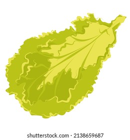 Kebab. Hoja de lechuga. Tomate. Ilustración del vector