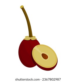 Kecik Sapodilla Fruit Is A Fruit That Has A Sweet Taste And Soft Texture. This Fruit Grows A Lot In Tropical Areas