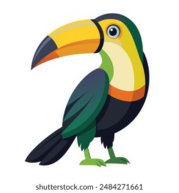 keel billed birds color illustrator style 
