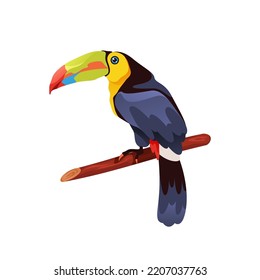 Keel bildete Toucan Vogel, Vektorsymbol oder Clip-Art.