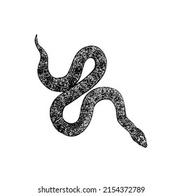 keelback snake hand drawing vector illustrationisolated on white background