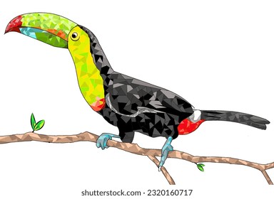 keel-billed taucan bird on a tree branch, geometris colors, white background, vector ilustration