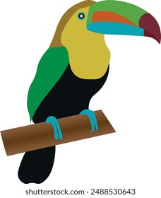 keel-billed toucan bird with long beaks design