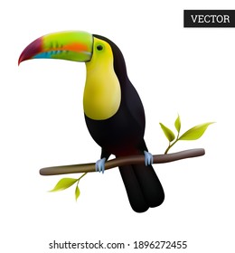 Keel-billed Toucan isolated on a white background. Realistic (Ramphastos sulfuratus) national bird of Belize. Vector illustration 3D. Rainbow-billed toucan on branch. Wild bird icon. Design element.