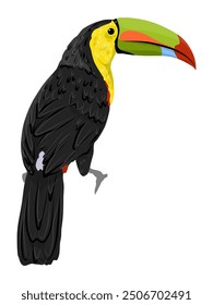 Keel-billed toucan. National bird of Belize. Realistic vector jungle birds