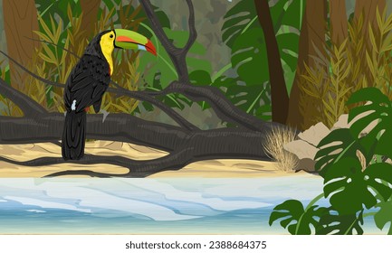 Keel-billed toucan sits on the branch of a fallen tropical tree. Shore of a lake in the jungle. Realistic vector landscape.