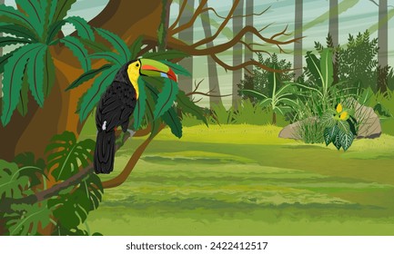 Keel-billed toucan sits on a branch of a tropical tree. Realistic vector landscape.