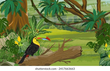 Keel-billed toucan sits on the trunk of a fallen tree in a thicket of tropical plants. Jungle. Realistic vector landscape.