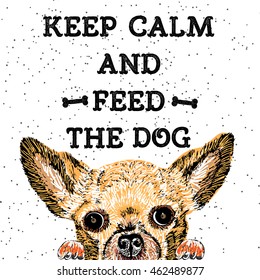 Keep calm and feed the dog. Sign with cute smiling but starving dog. Motivational lettering for dog adoption. Inscription for dog lovers. Inspirational typographic calligraphy. Phrase for dog shelter.