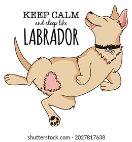 Keep calm and sleep like labrador. Adorable cartoon dog illustration. Cute sleeping puppy sketch for sticker, print on t-shirt, mug, poster, background, wallpaper, decoration. Premium vector