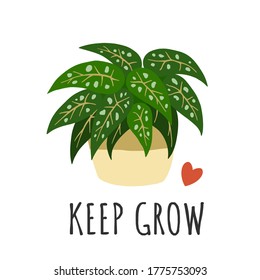 Keep grow. Print with exotic houseplant. Vector illustration.