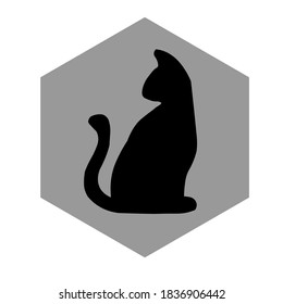 mantener un gato es muy divertido