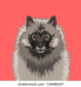 Keeshond, The buddy dog