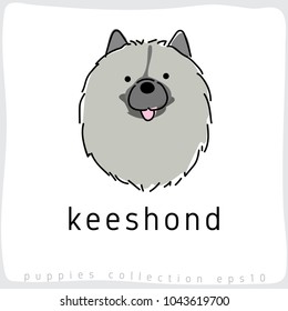 Keeshond : Dog Breed Collection : Vector Illustration