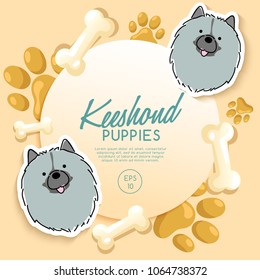 Keeshond : Dog Breed Collection : Vector Illustration