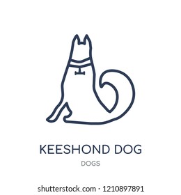 Keeshond dog icon. Keeshond dog linear symbol design from Dogs collection. Simple outline element vector illustration on white background.